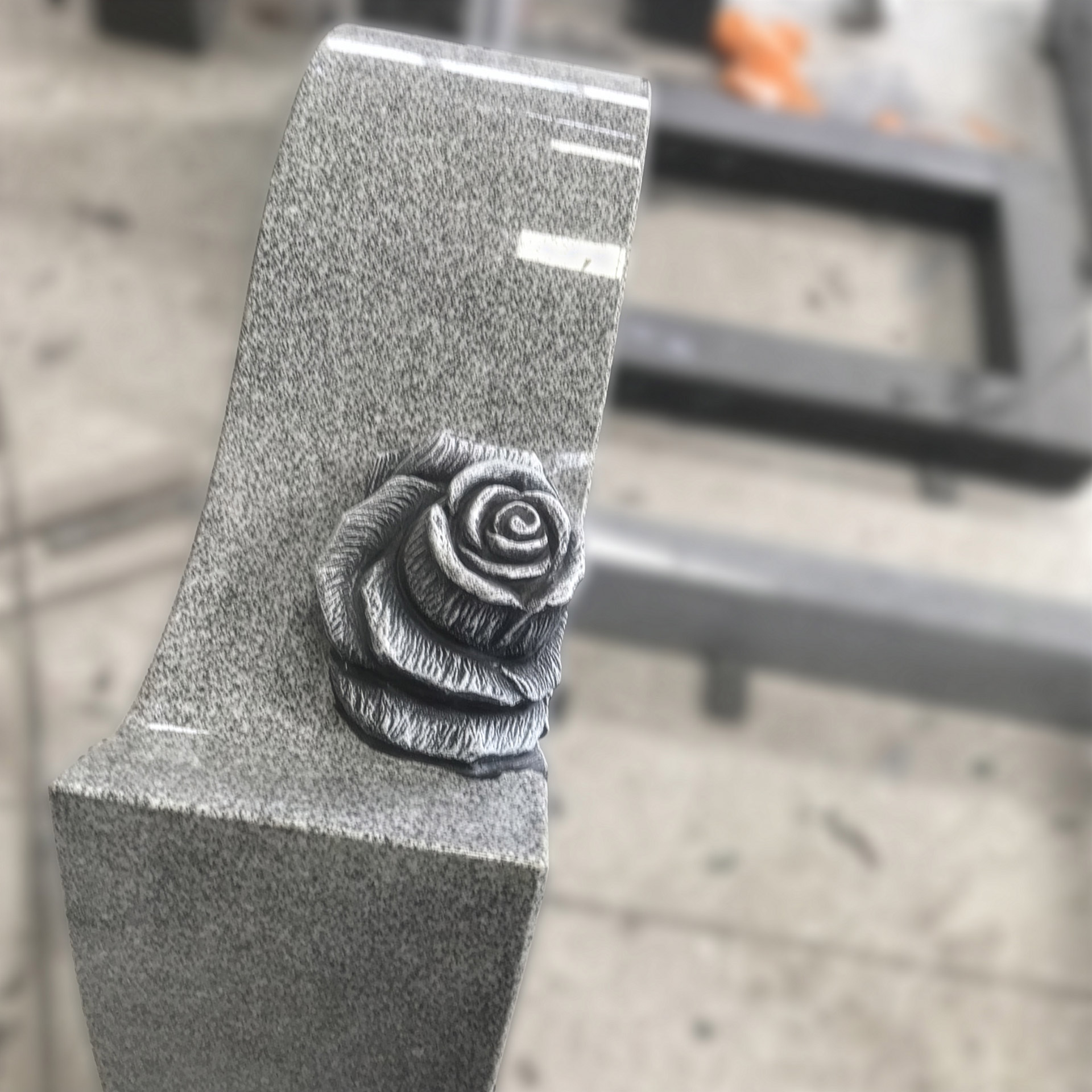 aeternum_cloesup_rose